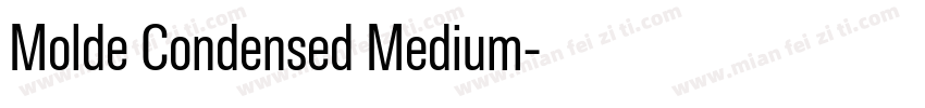 Molde Condensed Medium字体转换